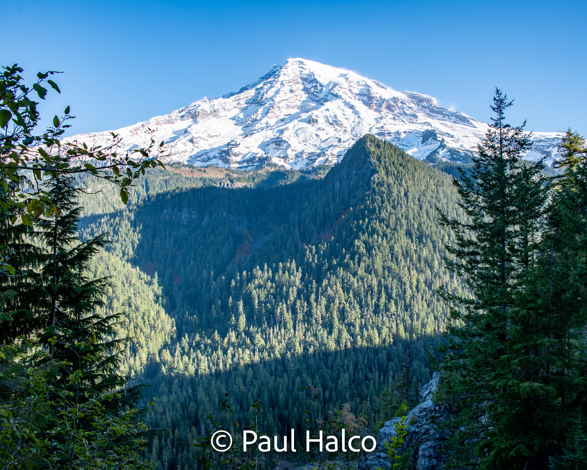 Paul Halco - Mt Ranier NP-14